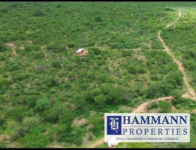 FARM FOR SALE IN MUSINA